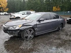 1HGCR2F11HA242463 2017 HONDA ACCORD