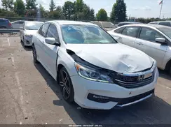 1HGCR2F12HA084344 2017 HONDA ACCORD