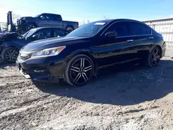 1HGCR2F12HA294409 2017 HONDA ACCORD