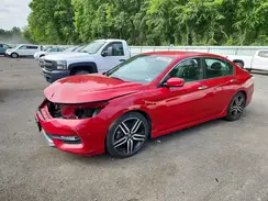 1HGCR2F13HA260804 2017 HONDA ACCORD