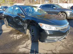 1HGCR2F13HA291955 2017 HONDA ACCORD