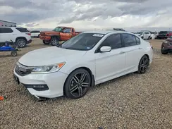 1HGCR2F14HA007541 2017 HONDA ACCORD