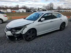 1HGCR2F14HA031158 2017 HONDA ACCORD