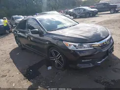 1HGCR2F14HA230842 2017 HONDA ACCORD