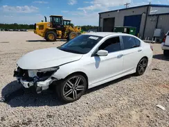 1HGCR2F14HA261380 2017 HONDA ACCORD