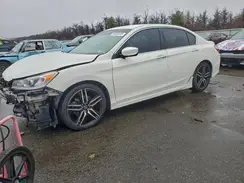 1HGCR2F16HA143038 2017 HONDA ACCORD