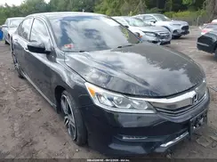 1HGCR2F16HA204775 2017 HONDA ACCORD