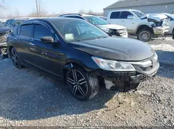 1HGCR2F16HA251238 2017 HONDA ACCORD