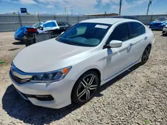 1HGCR2F17HA150726 2017 HONDA ACCORD