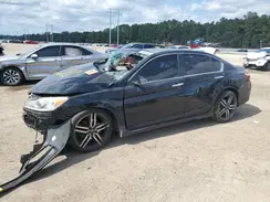 1HGCR2F17HA198159 2017 HONDA ACCORD