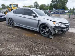 1HGCR2F17HA296513 2017 HONDA ACCORD