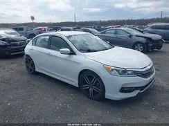 1HGCR2F18HA084316 2017 HONDA ACCORD