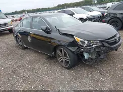 1HGCR2F18HA087975 2017 HONDA ACCORD