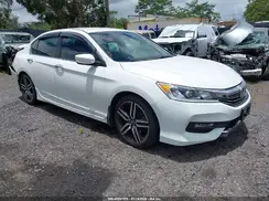 1HGCR2F18HA231329 2017 HONDA ACCORD