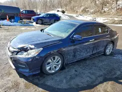 1HGCR2F19HA047310 2017 HONDA ACCORD