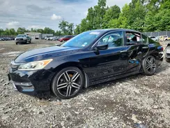 1HGCR2F19HA065631 2017 HONDA ACCORD
