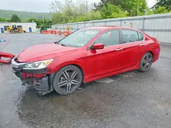 1HGCR2F19HA073213 2017 HONDA ACCORD