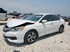 1HGCR2F31HA034360 2017 HONDA ACCORD