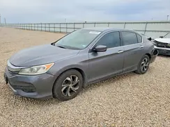 1HGCR2F31HA096843 2017 HONDA ACCORD