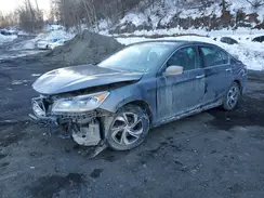 1HGCR2F31HA135771 2017 HONDA ACCORD