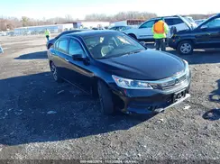 1HGCR2F31HA183125 2017 HONDA ACCORD