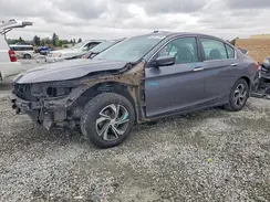 1HGCR2F31HA188843 2017 HONDA ACCORD