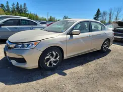 1HGCR2F31HA212624 2017 HONDA ACCORD