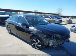 1HGCR2F31HA225700 2017 HONDA ACCORD