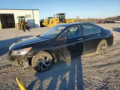 1HGCR2F31HA244215 2017 HONDA ACCORD