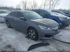 1HGCR2F31HA256803 2017 HONDA ACCORD