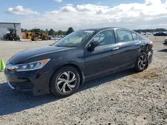 1HGCR2F31HA263380 2017 HONDA ACCORD