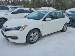 1HGCR2F31HA810521 2017 HONDA ACCORD