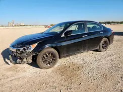 1HGCR2F32HA036277 2017 HONDA ACCORD