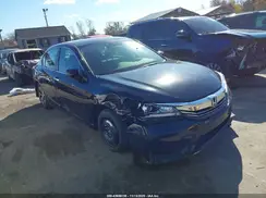 1HGCR2F32HA124200 2017 HONDA ACCORD