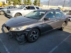 1HGCR2F32HA225107 2017 HONDA ACCORD