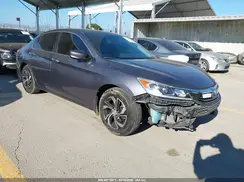 1HGCR2F32HA249343 2017 HONDA ACCORD