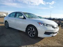 1HGCR2F32HA807966 2017 HONDA ACCORD
