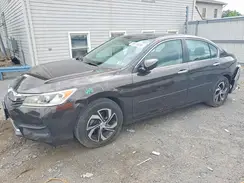 1HGCR2F33GA071313 2016 HONDA ACCORD