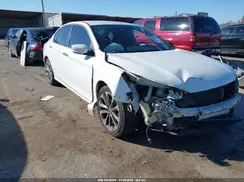 1HGCR2F33HA012716 2017 HONDA ACCORD