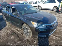 1HGCR2F33HA120804 2017 HONDA ACCORD
