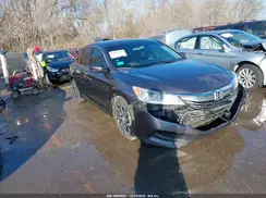 1HGCR2F33HA239453 2017 HONDA ACCORD