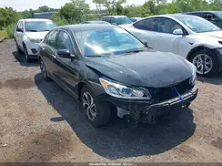 1HGCR2F33HA259993 2017 HONDA ACCORD