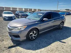 1HGCR2F34HA290556 2017 HONDA ACCORD