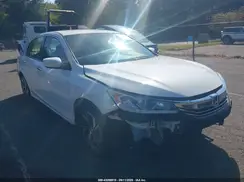 1HGCR2F35HA094075 2017 HONDA ACCORD