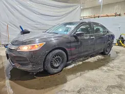 1HGCR2F35HA269442 2017 HONDA ACCORD
