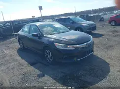 1HGCR2F36GA043828 2016 HONDA ACCORD