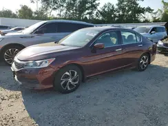 1HGCR2F36HA024326 2017 HONDA ACCORD
