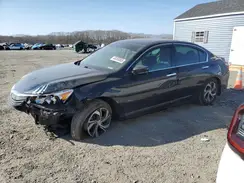 1HGCR2F36HA036234 2017 HONDA ACCORD