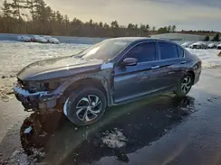 1HGCR2F36HA060615 2017 HONDA ACCORD