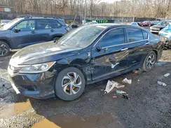 1HGCR2F36HA172654 2017 HONDA ACCORD